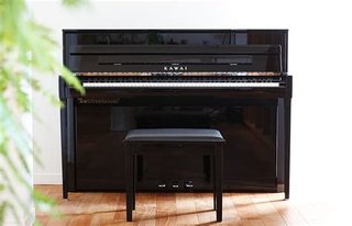 Clases de piano; titulada con 14 años de experienc