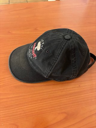 Gorra Carhartt Out of Office Supplies