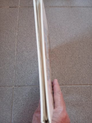 Coco salva el Arca