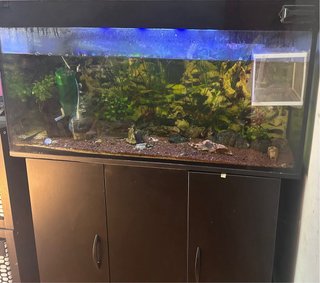 Pecera 200L Negra