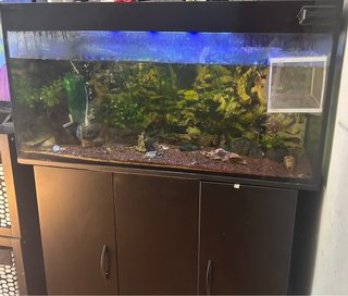 Pecera 200L Negra