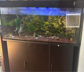 Pecera 200L Negra