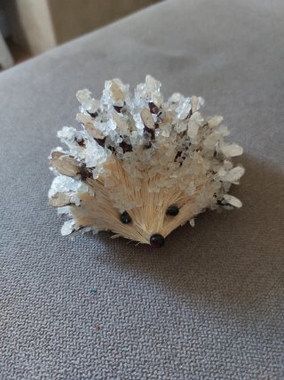 Collezione 7 Ricci decorativi