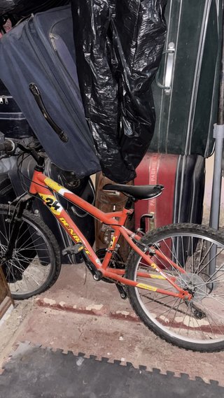 Bicicleta infantil DENB 24