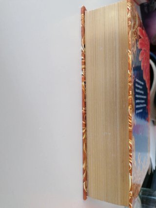 Geronimo Stilton