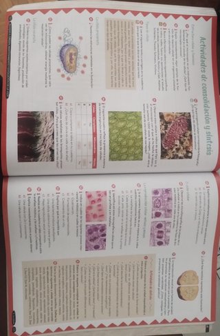 Biología y Geología, 4 ESO, Andalucía