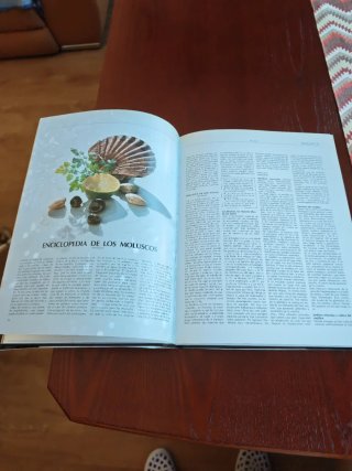 El Gran Libro del Marisco