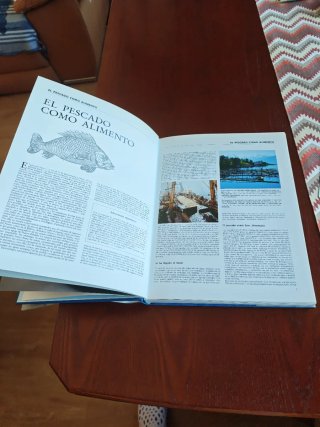 El Gran Libro del Pescado
