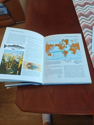 El Gran Libro del Pescado