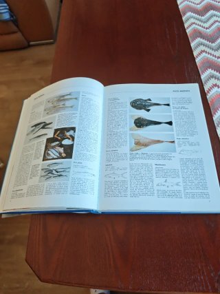 El Gran Libro del Pescado