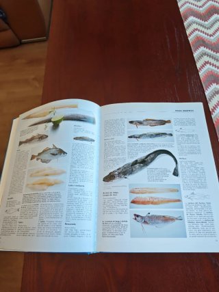 El Gran Libro del Pescado