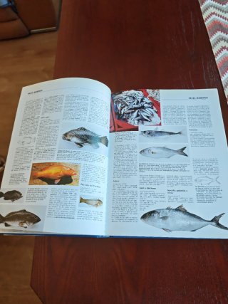 El Gran Libro del Pescado