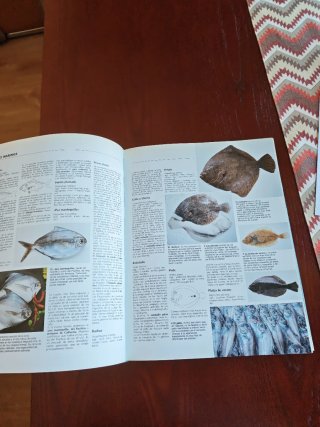 El Gran Libro del Pescado
