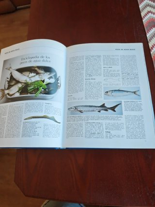 El Gran Libro del Pescado