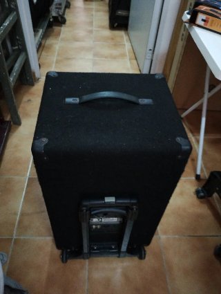 Altavoz Bajo Ampeg PB210H
