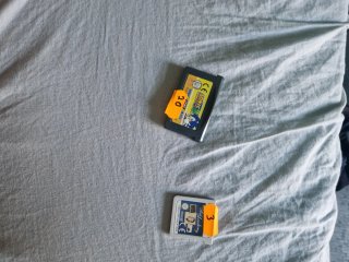 Nintendo DS Negra