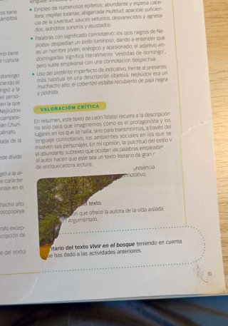 Lengua castellana y literatura 1 Bachillerato