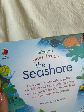 English book for children/ libro inglés niños