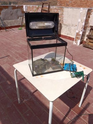 Pecera con accesorios