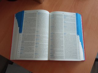 Diccionario intermedio primaria lengua española