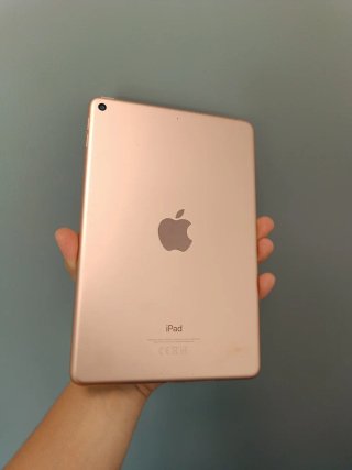 iPad Mini 5ª Gen 64 GB Oro