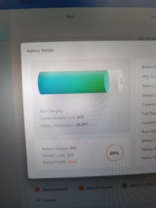 iPad Mini 5ª Gen 64 GB Oro