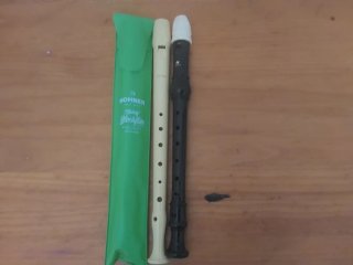 2 Flautas Hohner con funda (negra y blanca)