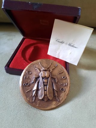 Medaglia Bronzo Credito Italiano Centenario Italy