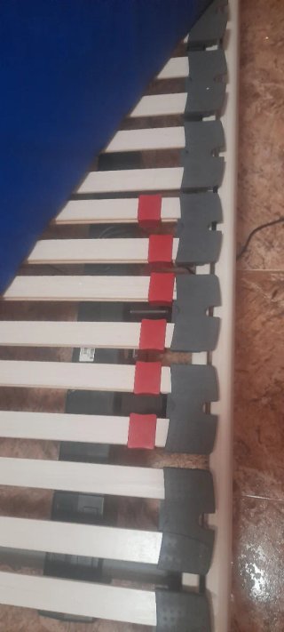 Cama articulada con colchón sanitario
