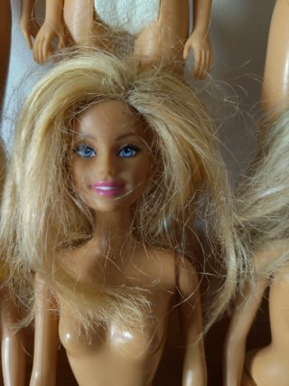 Consegna di Barbie. In condizioni accettabili.