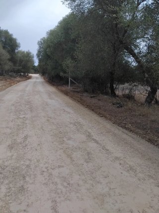 Parcela rustica