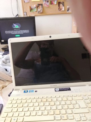 Sony Vaio PCG-71911M Portátil