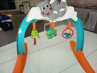 Giostrina Chicco Hippo