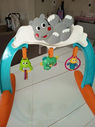Giostrina Chicco Hippo
