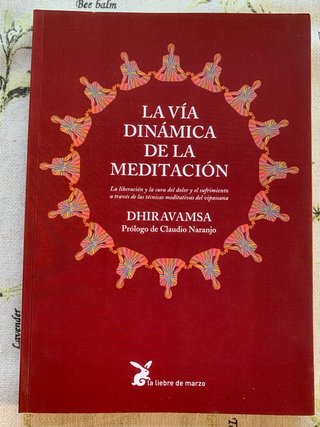 La vía dinámica de la meditación