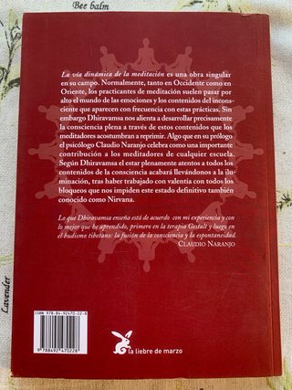 La vía dinámica de la meditación