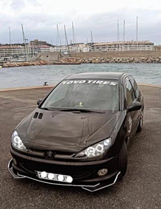 Peugeot 206 gti 206 gti 2001