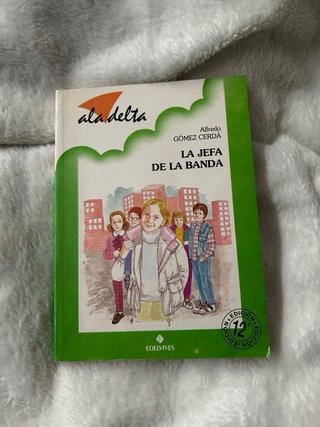 Lote 4 libros de Barco de Vapor
