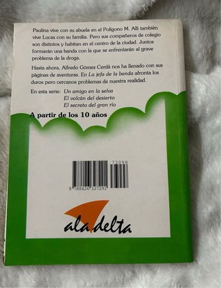 Lote 4 libros de Barco de Vapor