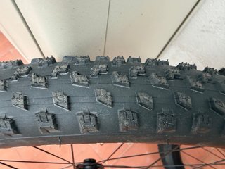 Ruedas Specialized 29 con cubiertas y discos