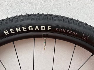 Ruedas Specialized 29 con cubiertas y discos