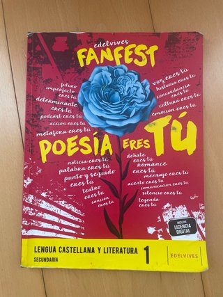 Lengua castellana y literatura 1 Secundaria