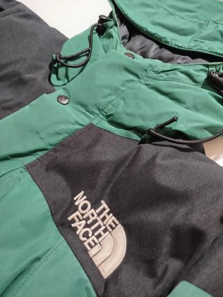 The North Face Mountain Guide 3D Jacket