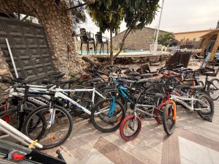 Lote de bicicletas variadas