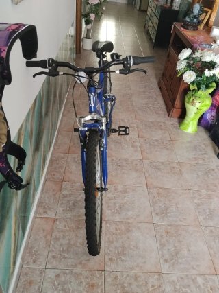 Bicicleta de Montaña Azul para Adulto