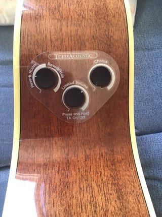 Guitarra Acústica Yamaha FS-TA VT