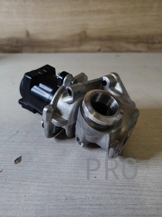 Válvula EGR EG10507 -  DELPHI
