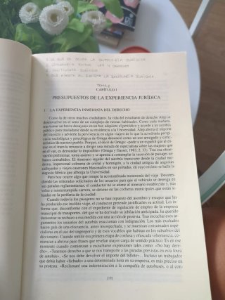 Teoría del derecho una concepción de la experie...