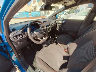 Ford Puma ST line - etiqueta ECO