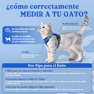 Arnés Antiescape rabbitgoo para Gatos